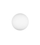 Modern ceiling lamps - Trio Ceiling FOMENTO 663100108 - product 4