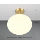 Modern ceiling lamps - Trio Ceiling FOMENTO 663100108 - product 5