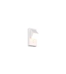 Modern wall lamps - Trio Wall/Installation RAGLAN 248570131 - product 1