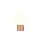 Table lamps - Trio Table STEEN 568200165 - product 6
