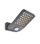 Outdoor lights with motion sensor - Lutec Outdoor Wall Mount ATLANTIS 7801602118 - product 1
