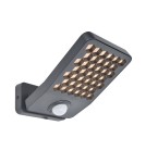 Outdoor lights with motion sensor - Lutec Outdoor Wall Mount ATLANTIS 7801607118 - product 1