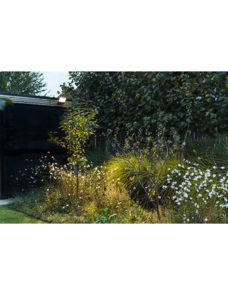 Outdoor wall lamps - Lutec Outdoor Wall Mount ATLANTIS 7801603118 - product kolory-swiatla.pl 4