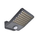 Outdoor lights with motion sensor - Lutec Outdoor Wall Mount ATLANTIS 7801604118 - product 1