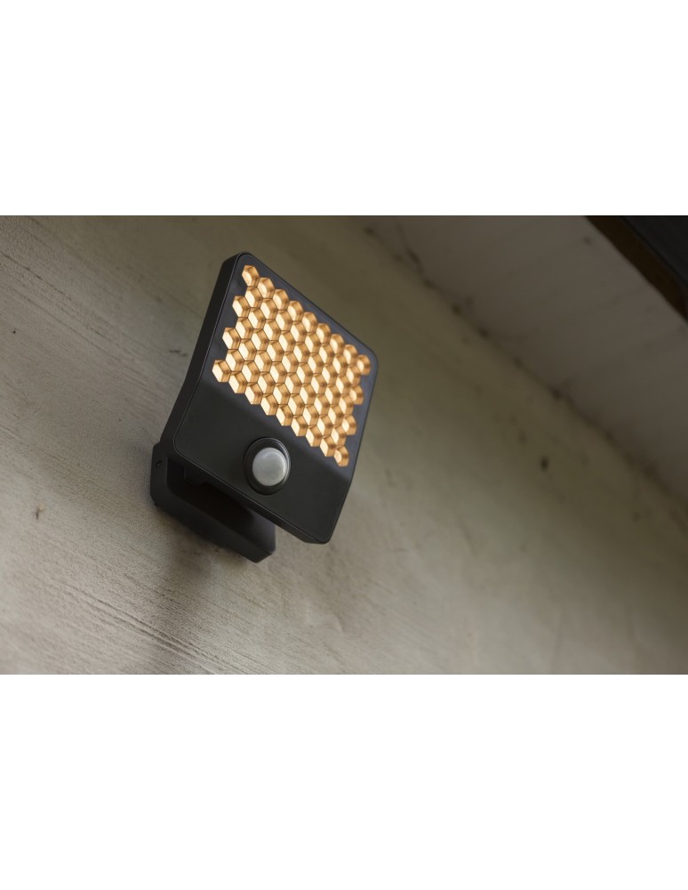 Outdoor lights with motion sensor - Lutec Outdoor Wall Mount ATLANTIS 7801604118 - product kolory-swiatla.pl 7