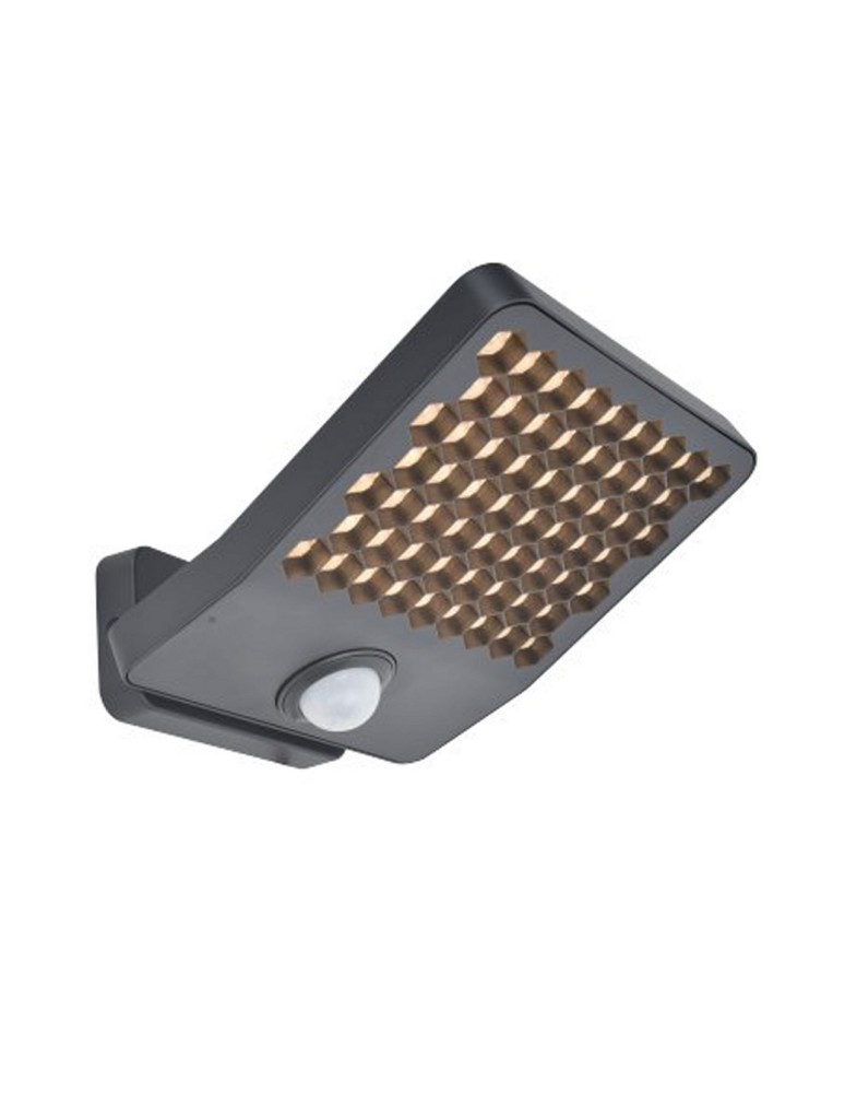 Outdoor lights with motion sensor - Lutec Outdoor Wall Mount ATLANTIS 7801608118 - product kolory-swiatla.pl 1
