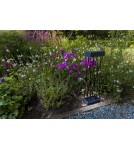 Solar lamps - Lutec Outdoor Solar SPIDO SOLAR 6915901012 - product 2