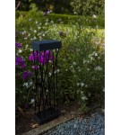 Solar lamps - Lutec Outdoor Solar SPIDO SOLAR 6915901012 - product 3