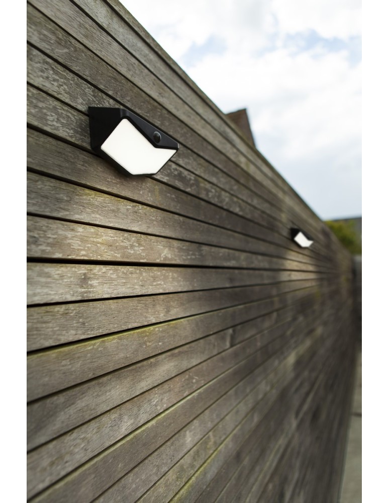 Solar lamps - Lutec Outdoor Solar WINGS SOLAR 6915101330 - product kolory-swiatla.pl 4