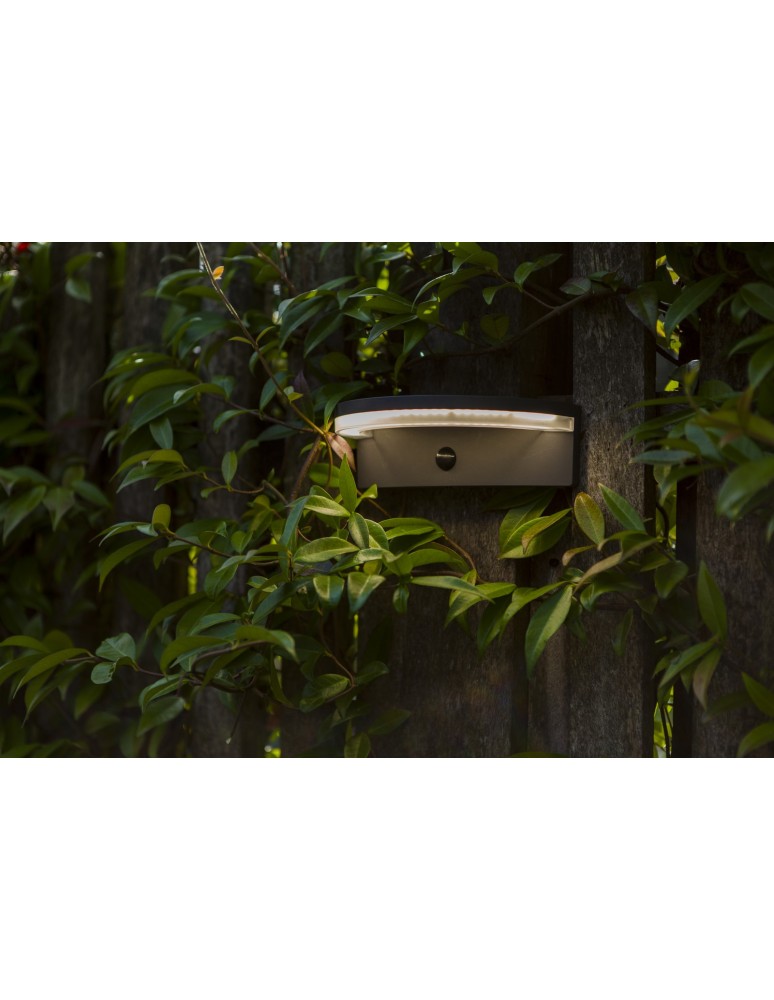 Solar lamps - Lutec Outdoor Solar VYZOR SOLAR 6915701335 - product kolory-swiatla.pl 2