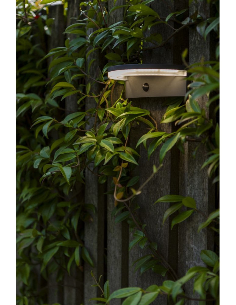 Solar lamps - Lutec Outdoor Solar VYZOR SOLAR 6915701335 - product kolory-swiatla.pl 6