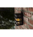 Outdoor wall lamps - Lutec Outdoor Wall Mounted DALTON 5214501330 - product 5