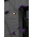 Outdoor wall lamps - Lutec Outdoor Wall LOOMA 5138002118 - product 6