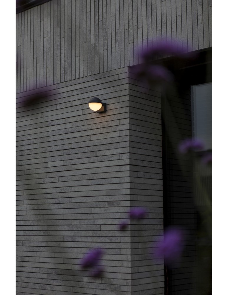Outdoor wall lamps - Lutec Outdoor Wall LOOMA 5138002118 - product kolory-swiatla.pl 6