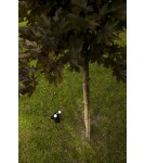 Solar lamps - Lutec Outdoor Solar BINGO SOLAR 6938401330 - product 3