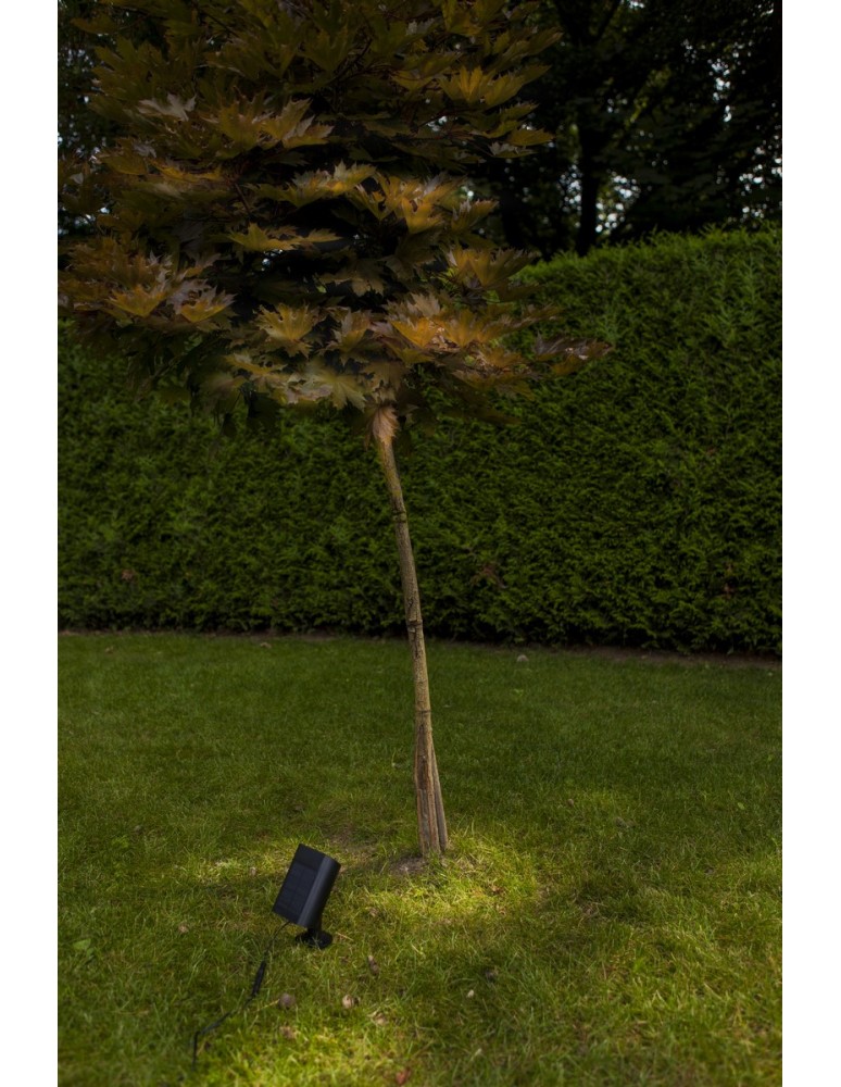 Solar lamps - Lutec Outdoor Solar BINGO SOLAR 6938401330 - product kolory-swiatla.pl 4