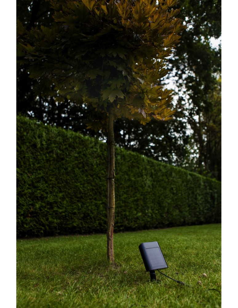 Solar lamps - Lutec Outdoor Solar BINGO SOLAR 6938401330 - product kolory-swiatla.pl 5