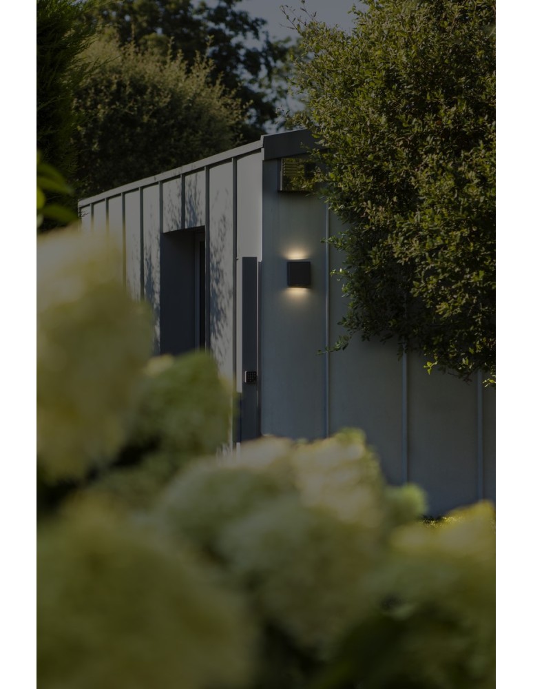Outdoor wall lamps - Lutec Outdoor Wall PILI 5102601125 - product kolory-swiatla.pl 4