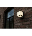 Outdoor lights with motion sensor - Lutec Outdoor Wall DOBLO 5197011125 - product 2