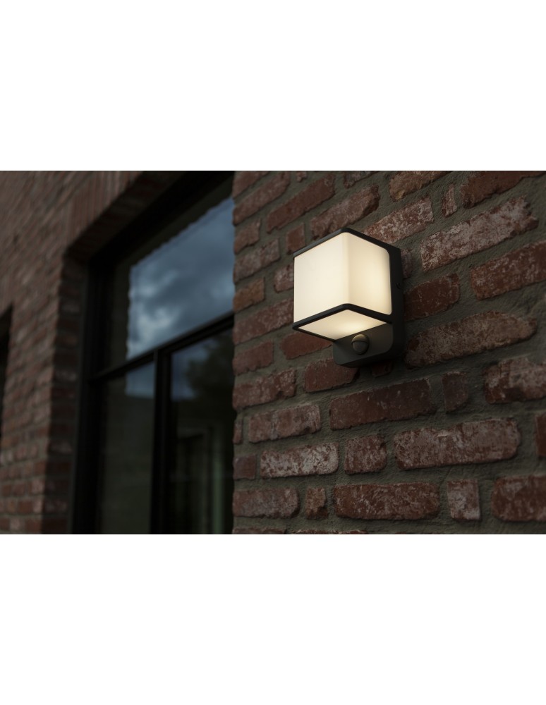 Outdoor lights with motion sensor - Lutec Outdoor Wall DOBLO 5197011125 - product kolory-swiatla.pl 2