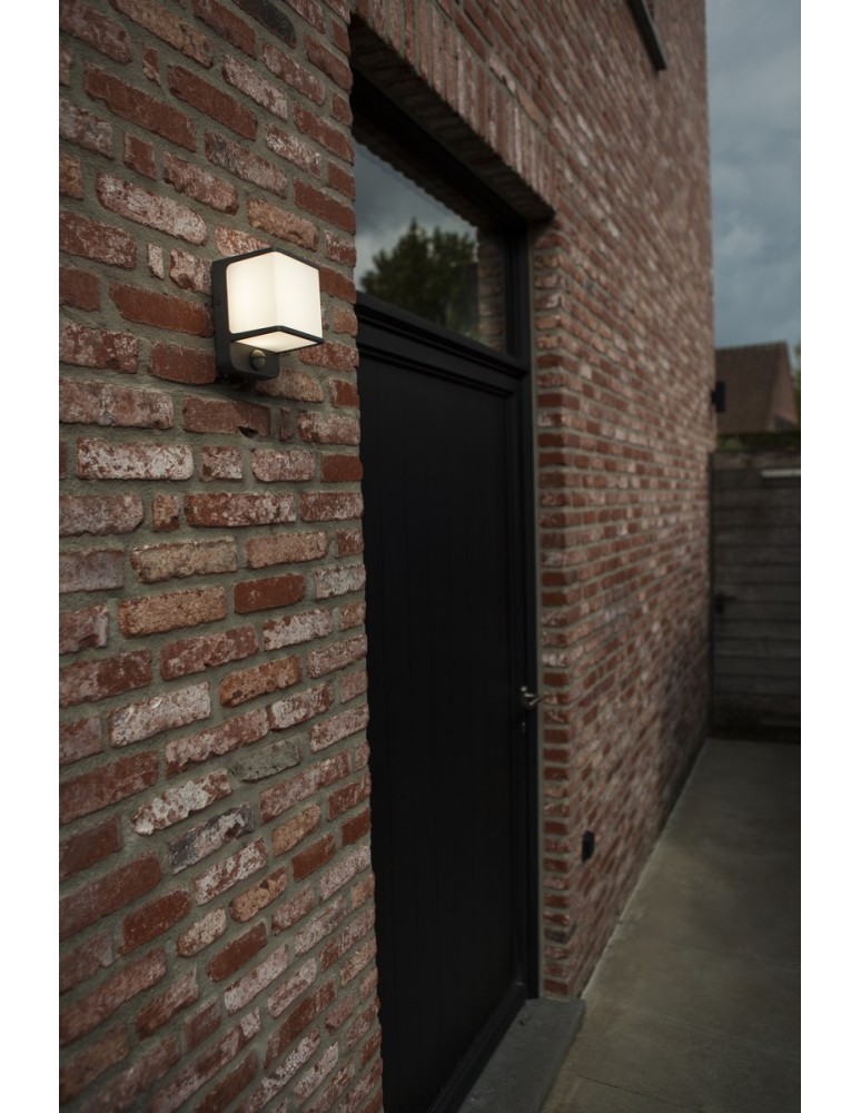 Outdoor lights with motion sensor - Lutec Outdoor Wall DOBLO 5197011125 - product kolory-swiatla.pl 4