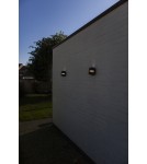 Outdoor wall lamps - Lutec Outdoor Wall LOTUS 5193201012 - product 3