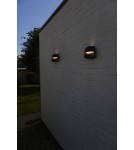 Outdoor wall lamps - Lutec Outdoor Wall LOTUS 5193201012 - product 6
