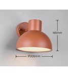 Outdoor wall lamps - Trio Outdoor Wall Mounted ELBE 262360140 - product 6
