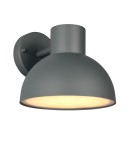 Outdoor wall lamps - Trio Outdoor Wall Mounted ELBE 262360142 - product 1