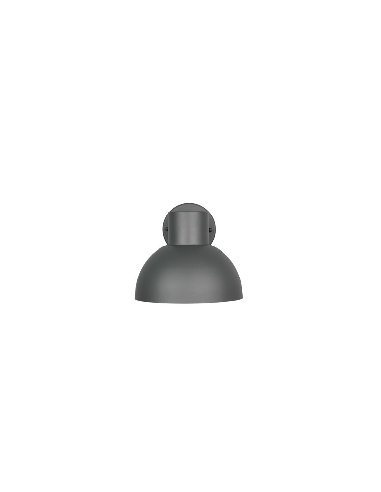 Outdoor wall lamps - Trio Outdoor Wall Mounted ELBE 262360142 - product kolory-swiatla.pl 2