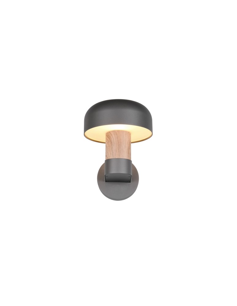 Outdoor wall lamps - Trio Outdoor Wall-mounted FRASER 262560135 - product kolory-swiatla.pl 4