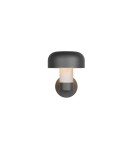 Outdoor wall lamps - Trio Outdoor Wall-mounted FRASER 262560178 - product 2