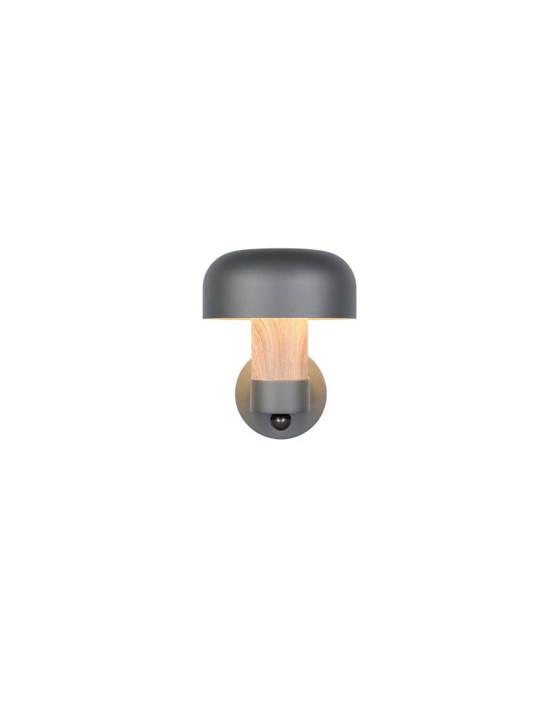 Outdoor lights with motion sensor - Trio Outdoor Wall-mounted FRASER 262569135 - product kolory-swiatla.pl 2