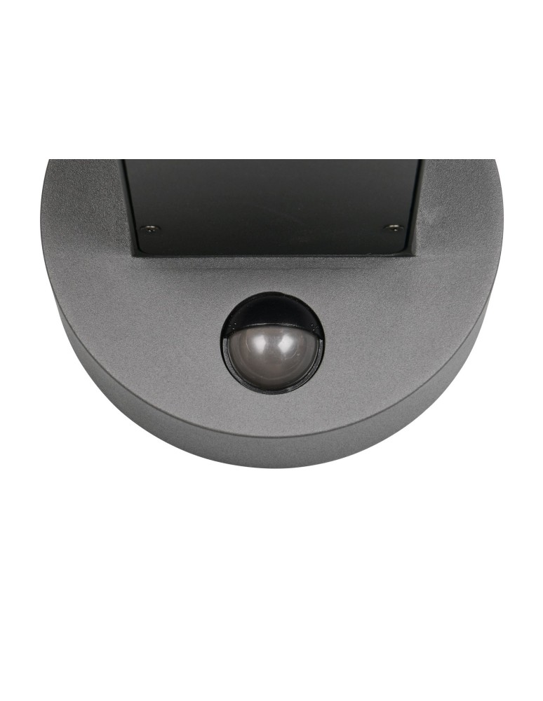 Outdoor lights with motion sensor - Trio Outdoor Wall-mounted FRASER 262569135 - product kolory-swiatla.pl 3