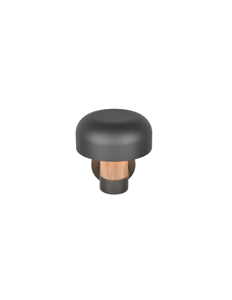 Outdoor lights with motion sensor - Trio Outdoor Wall-mounted FRASER 262569135 - product kolory-swiatla.pl 4