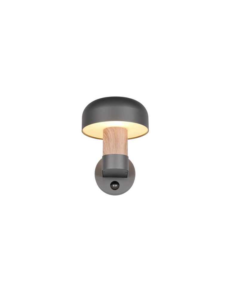 Outdoor lights with motion sensor - Trio Outdoor Wall-mounted FRASER 262569135 - product kolory-swiatla.pl 5