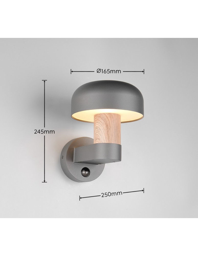 Outdoor lights with motion sensor - Trio Outdoor Wall-mounted FRASER 262569135 - product kolory-swiatla.pl 7