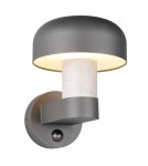 Outdoor lights with motion sensor - Trio Outdoor Wall-mounted FRASER 262569178 - product 1