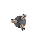 Spotlight ceiling lamps - Trio GILLAN Ceiling Spotlight 814530365 - product 4