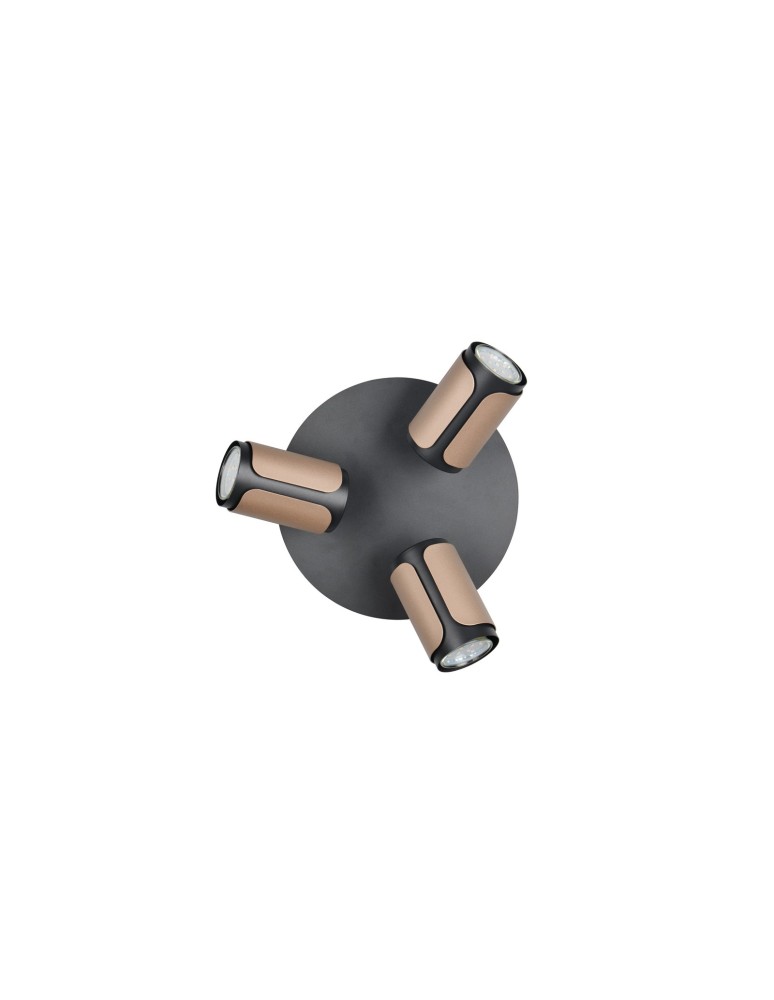 Spotlight ceiling lamps - Trio GILLAN Ceiling Spotlight 814530365 - product kolory-swiatla.pl 4
