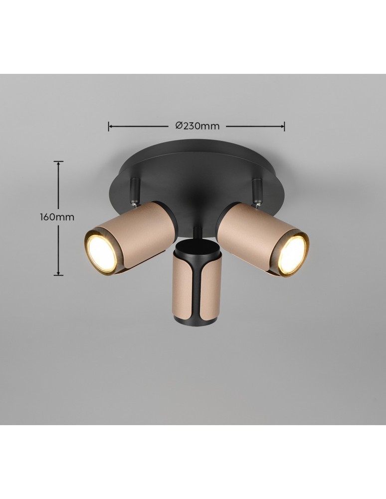 Spotlight ceiling lamps - Trio GILLAN Ceiling Spotlight 814530365 - product kolory-swiatla.pl 5