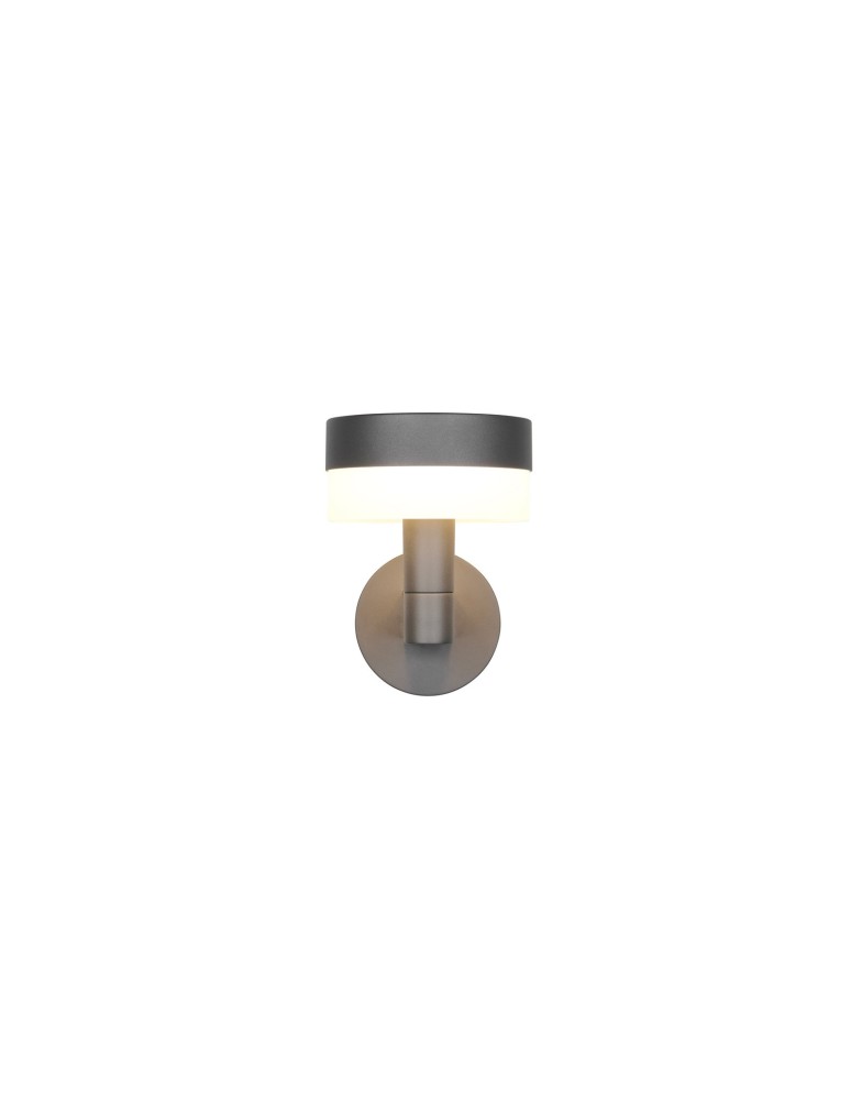 Outdoor wall lamps - Trio Outdoor Wall MACKENZIE 230561142 - product kolory-swiatla.pl 2