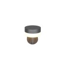 Outdoor wall lamps - Trio Outdoor Wall MACKENZIE 230561142 - product 3