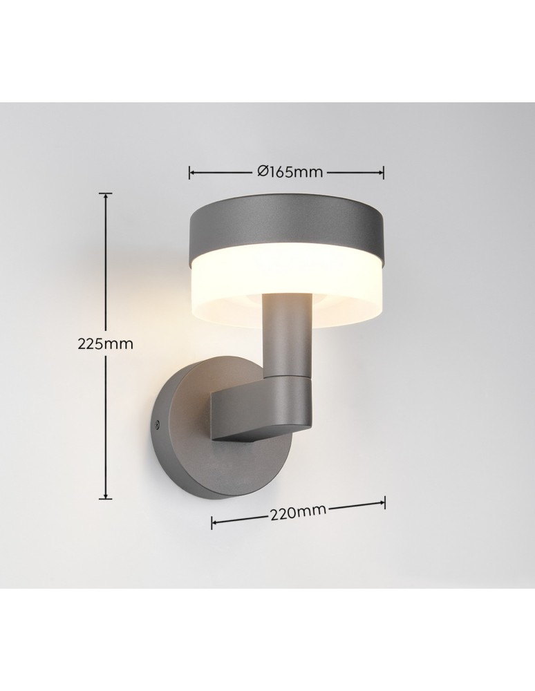 Outdoor wall lamps - Trio Outdoor Wall MACKENZIE 230561142 - product kolory-swiatla.pl 5