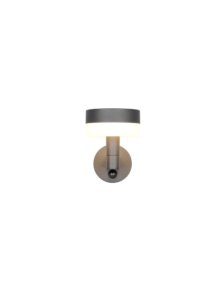 Outdoor lights with motion sensor - Trio Outdoor Wall MACKENZIE 230569142 - product kolory-swiatla.pl 2