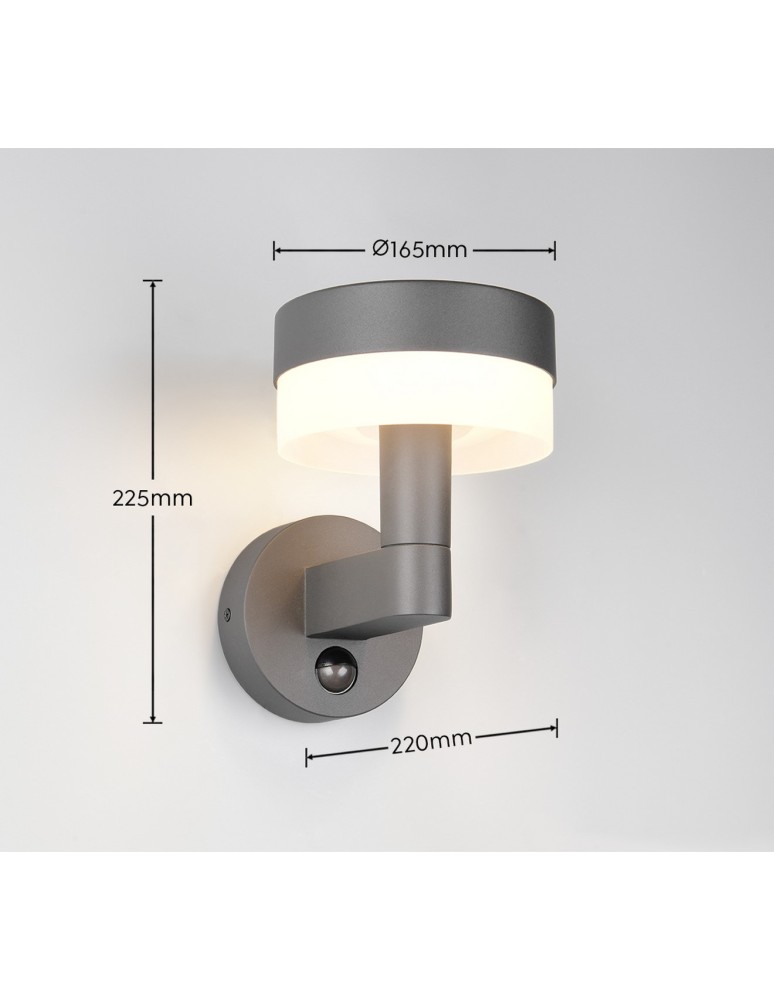 Outdoor lights with motion sensor - Trio Outdoor Wall MACKENZIE 230569142 - product kolory-swiatla.pl 5