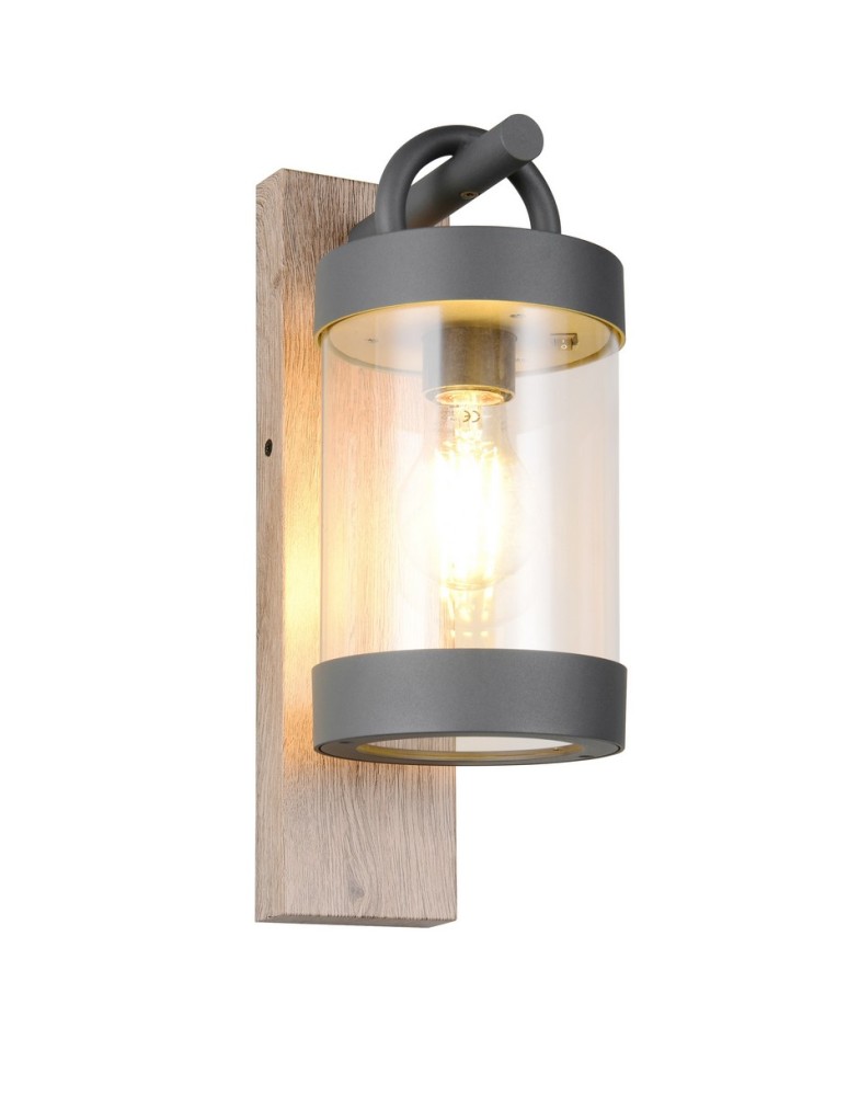 Outdoor wall lamps - Trio Outdoor Wall-mounted SAMBESI 204160135 - product kolory-swiatla.pl 1