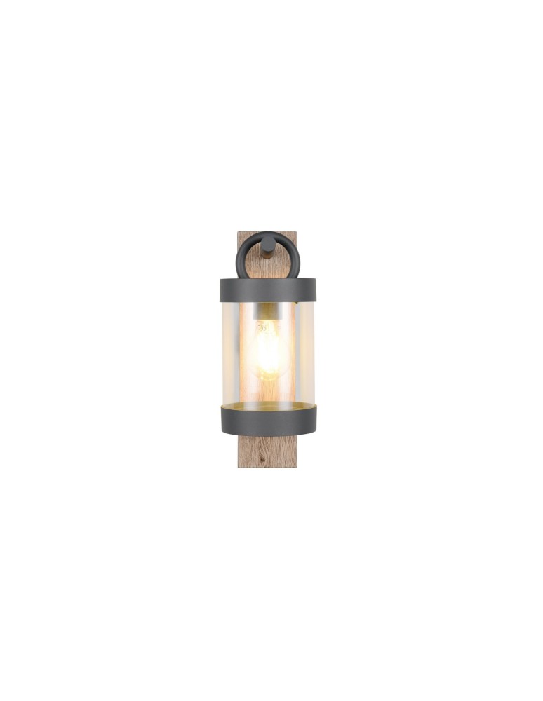 Outdoor wall lamps - Trio Outdoor Wall-mounted SAMBESI 204160135 - product kolory-swiatla.pl 2