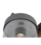 Outdoor wall lamps - Trio Outdoor Wall-mounted SAMBESI 204160135 - product 3