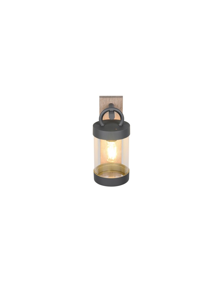 Outdoor wall lamps - Trio Outdoor Wall-mounted SAMBESI 204160135 - product kolory-swiatla.pl 4